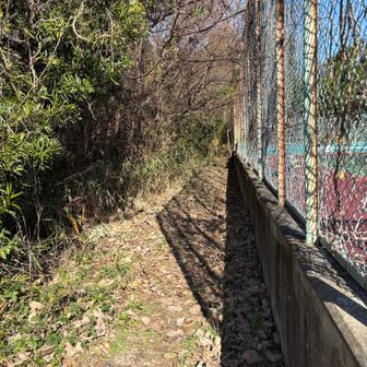 ここが分かりにくかった〜
テニスコートの横の細い所を奥へ