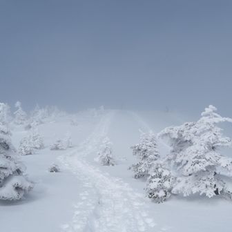 思っていたよりも登った