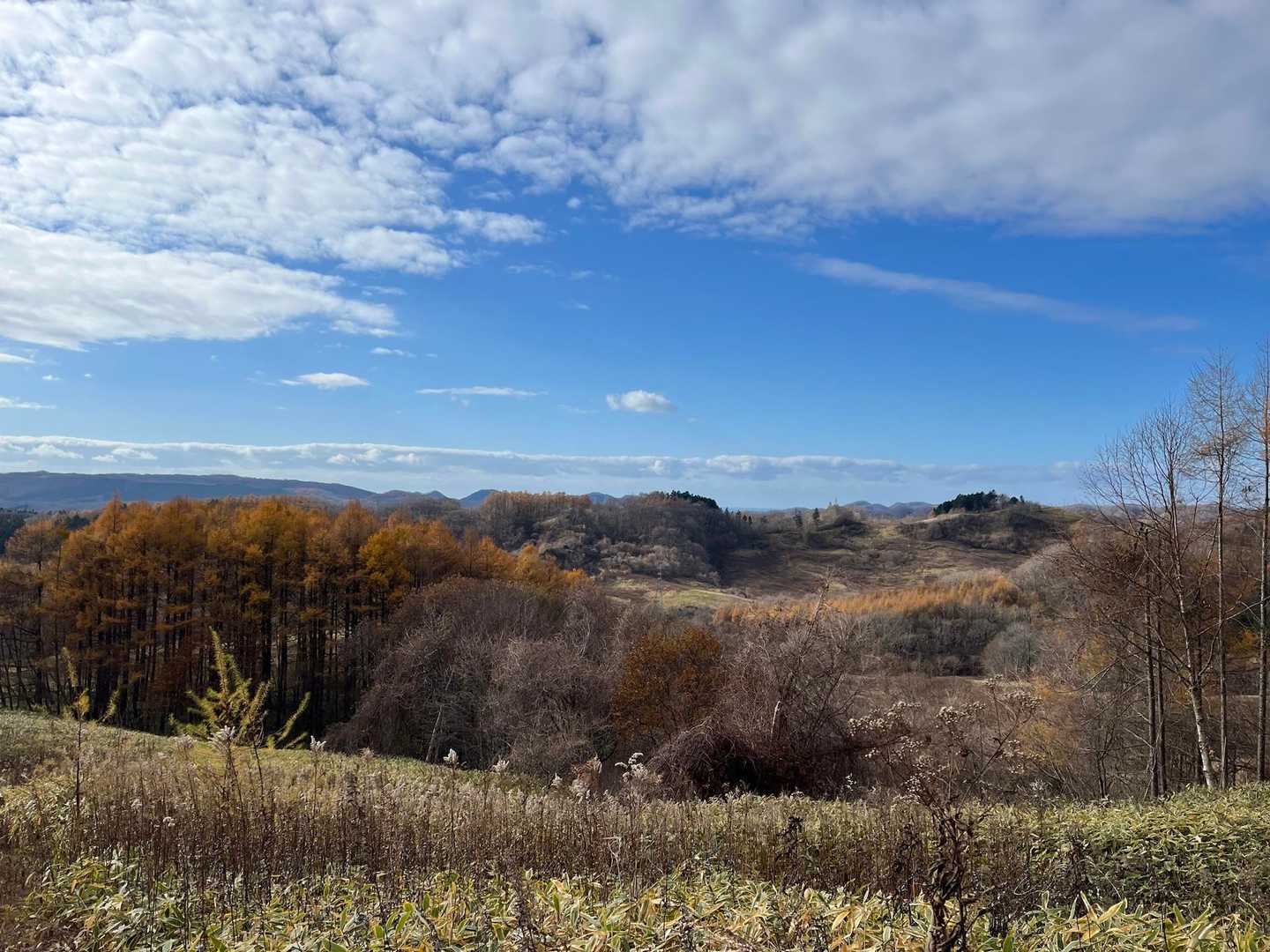 横山登山口-横山中岳 往復コースの写真