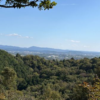 来週行く猿投山