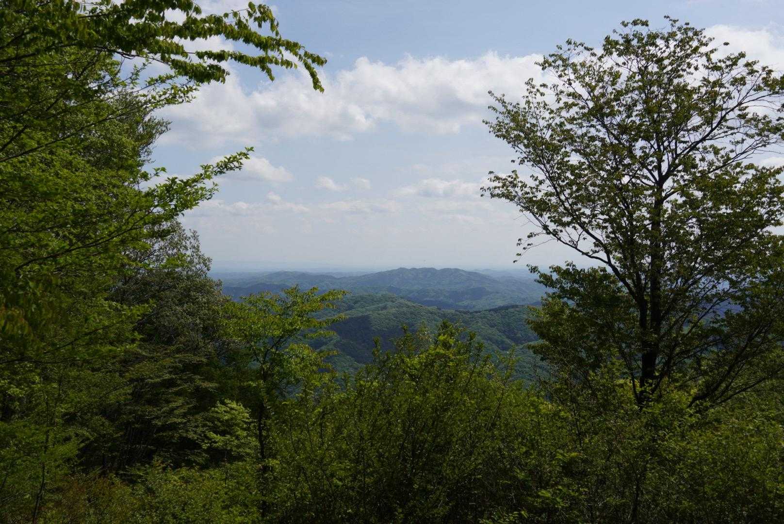 大川戸登山口-雨巻山 往復コースの写真