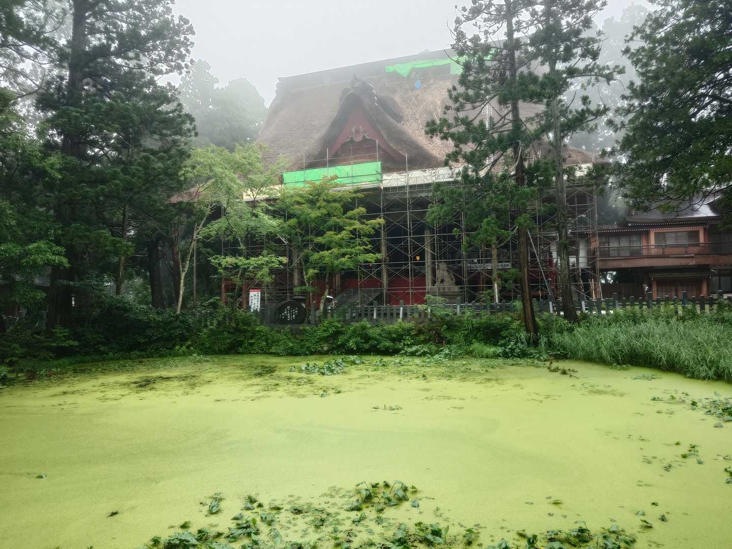 鏡池は、鏡には程遠く