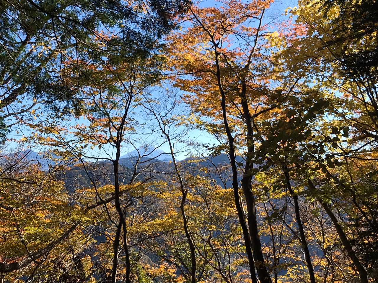 どっからみても富士山は良いですね。