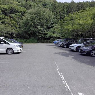 ポケパークの日陰は満車