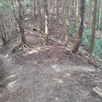 西と東の分岐を左に
