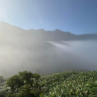 雲海がお出迎えしてくれました