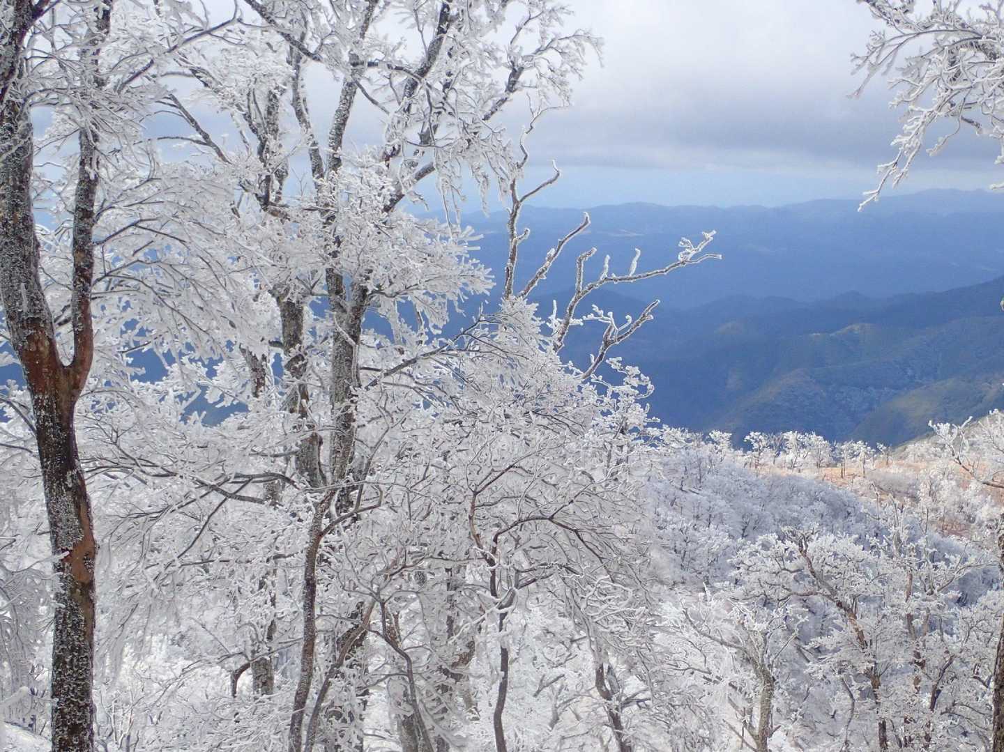白髪岳新登山口-猪ノ子伏-三池神社-白髪岳-陀来水岳 周回コースの写真