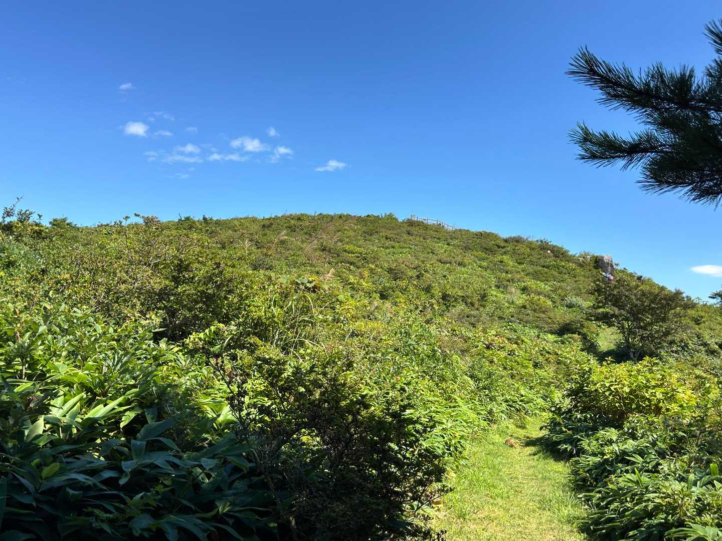 樹林帯の先には
わぁ〜🤩
良い風も吹いてます♪