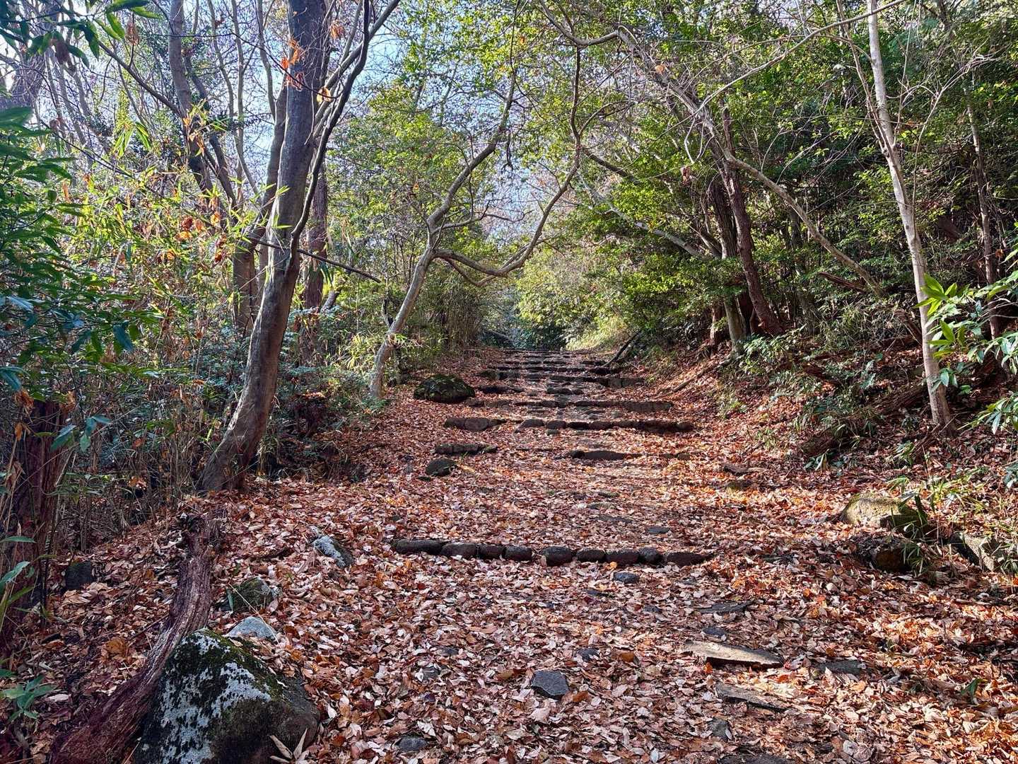 宝山寺 周回コースの写真