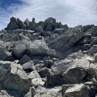 ここ登れば