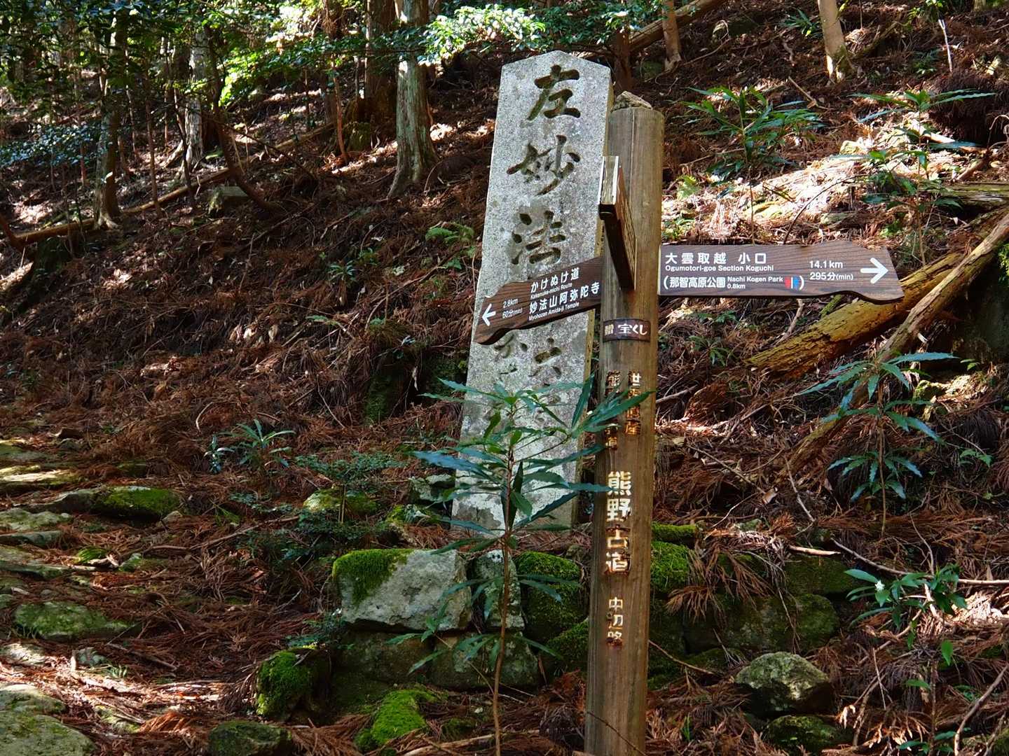 左のかけぬけ道から時計周りに歩いて、ここに戻ります