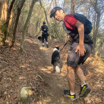 わんちゃんだー！かわいいー！