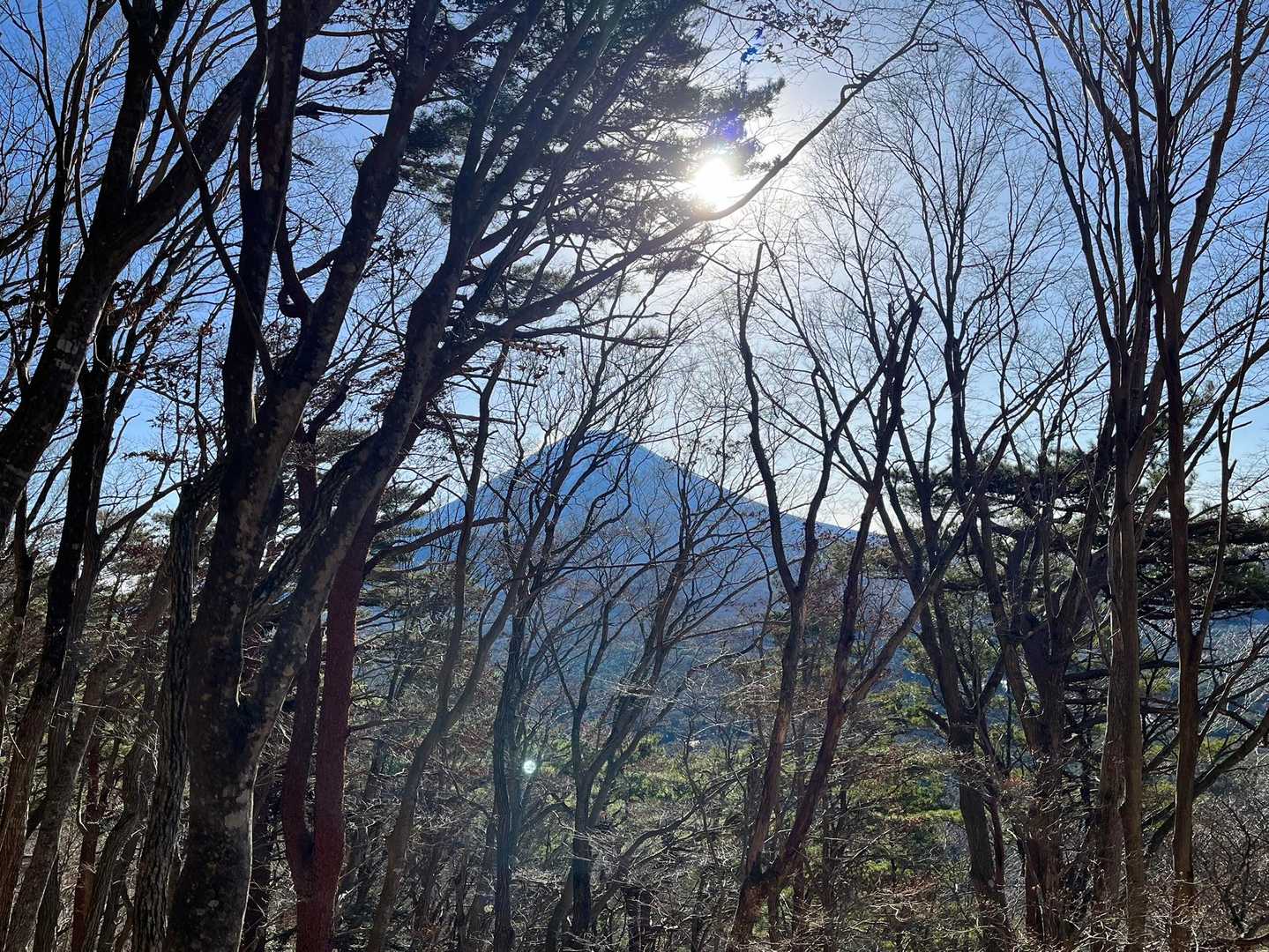 富士山🗻見ながら