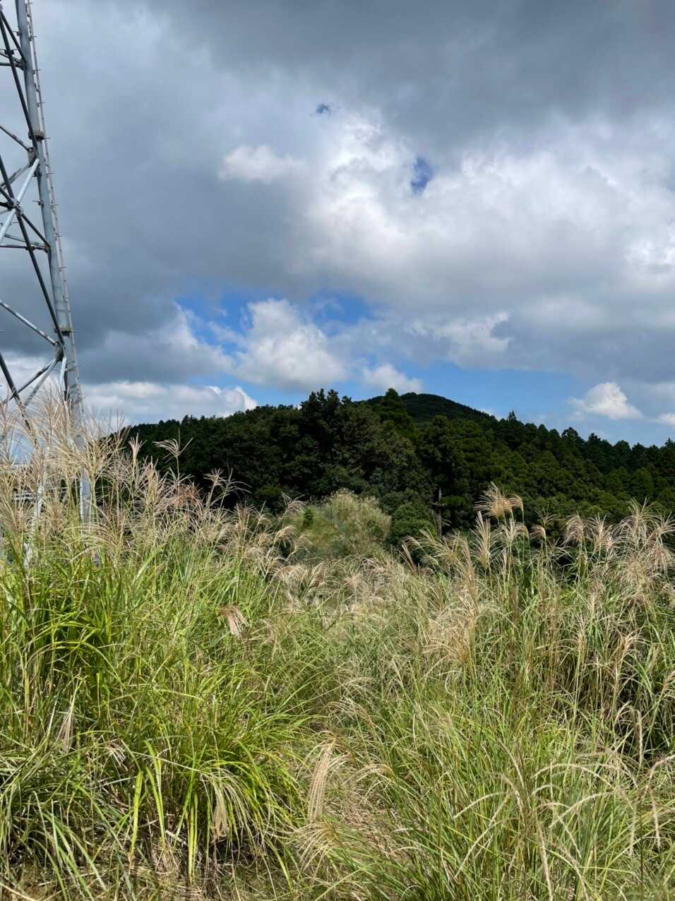 西山（鮎坂山）の写真