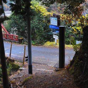 楽しみが1つ増えちゃいました。