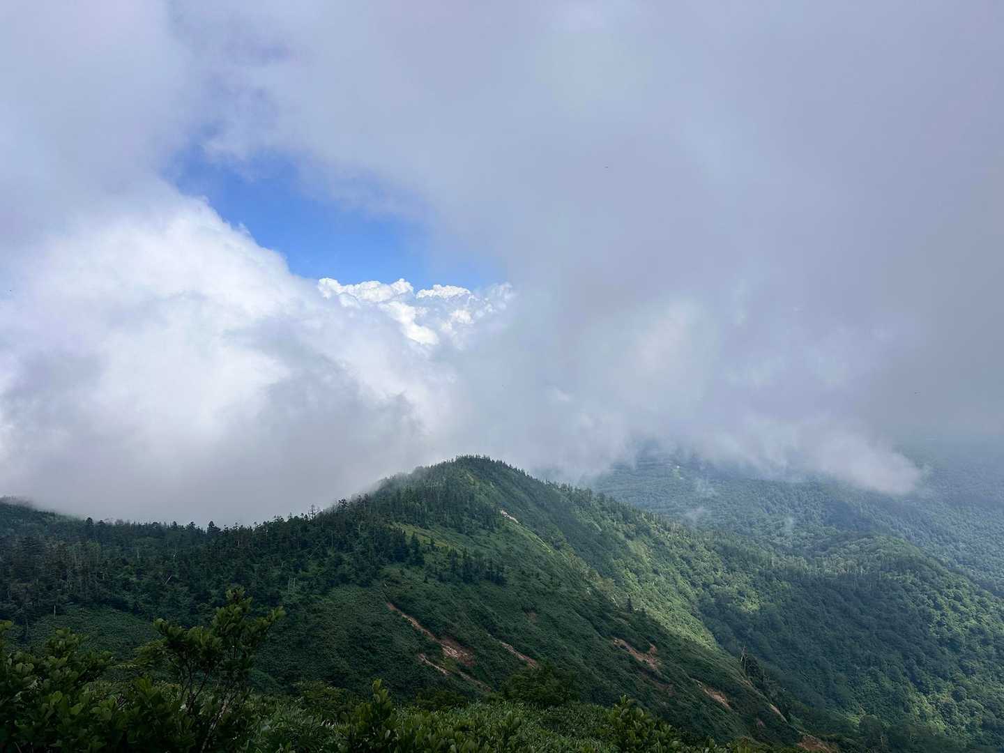 祓川登山口-神楽ヶ峰 往復コースの写真
