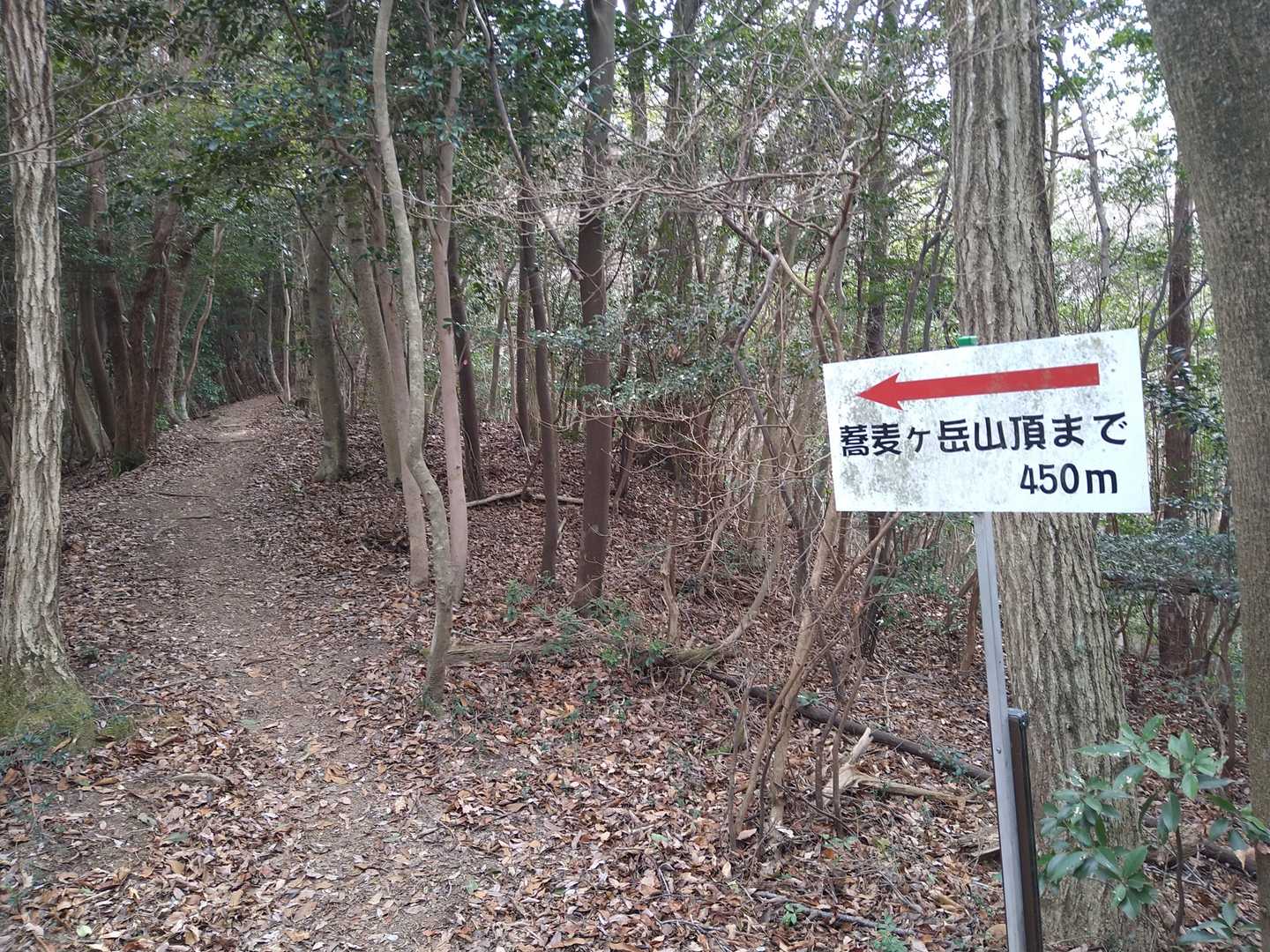 木の隙間から、蕎麦ヶ岳の山頂がチラリチラリ…ここまで来るまで、きつかった～💦💦💦