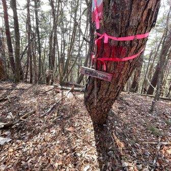 なかなかの難路の末に七覚山

下調べ不足でしたが良い経験でした✨
行けるところまでプラン、今日はここまでにします