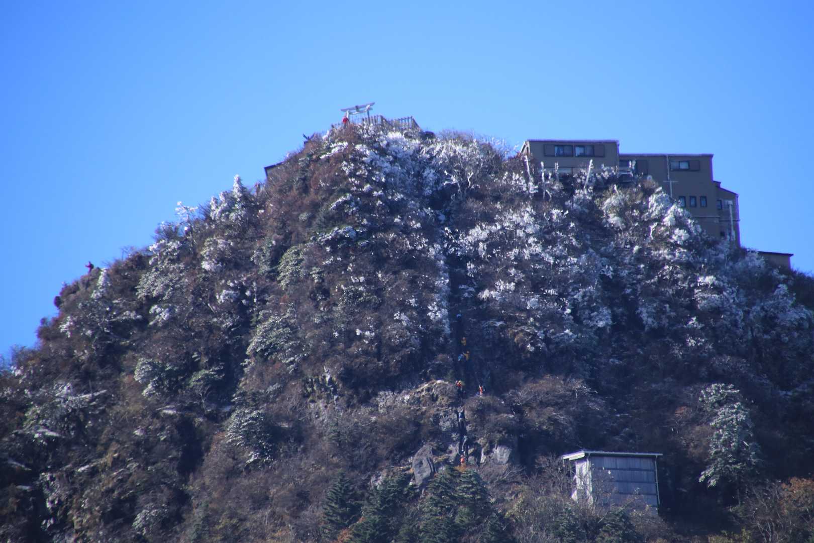 弥山には霧氷の花が咲いてます。