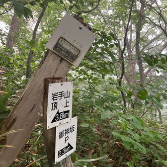 わらじ脱ぎ場🙌
