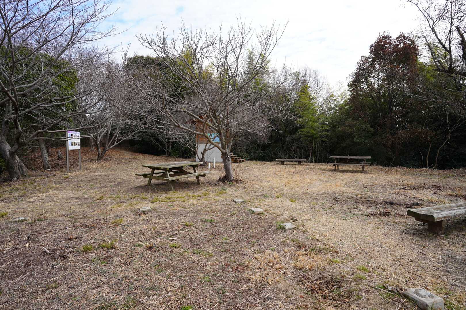 山頂の様子