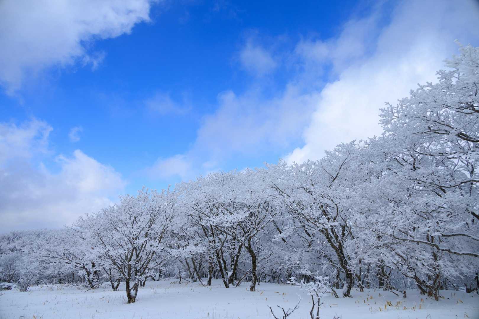 やっと青空が出て来た
