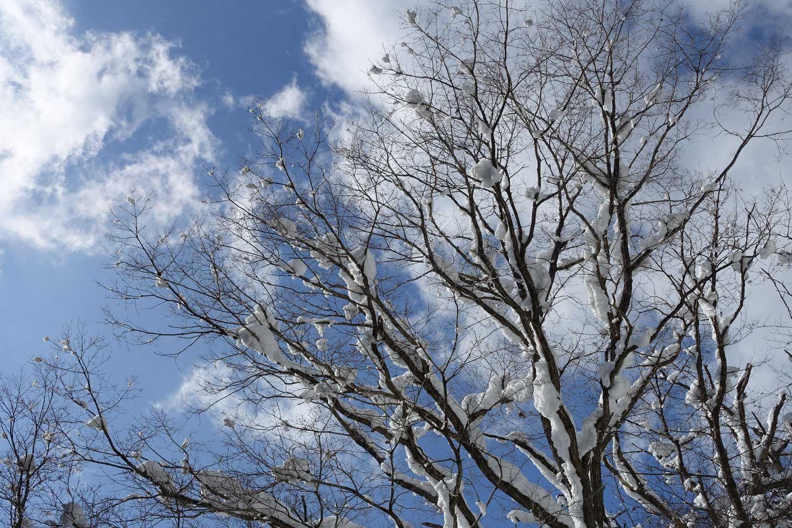 キラキラ輝く日差しに誘われてﾎﾝﾉちょっと寄り道💙