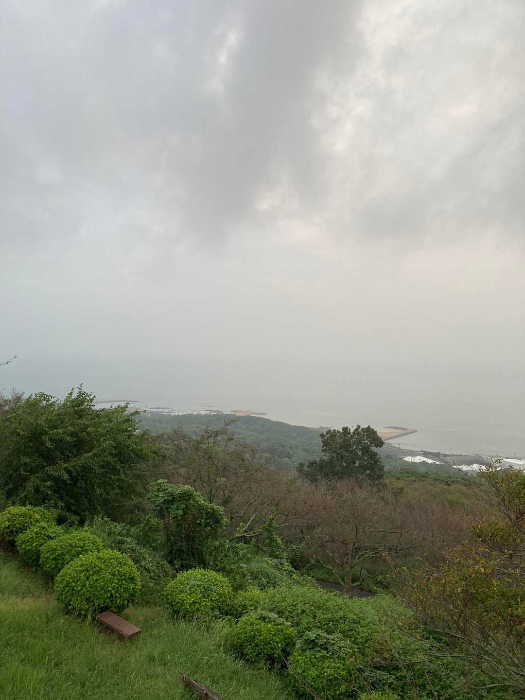 展望台からの景色