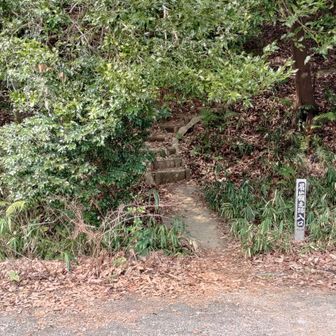 登山道を抜けました。あとはゴールの眉山公園まで道路を歩きます。