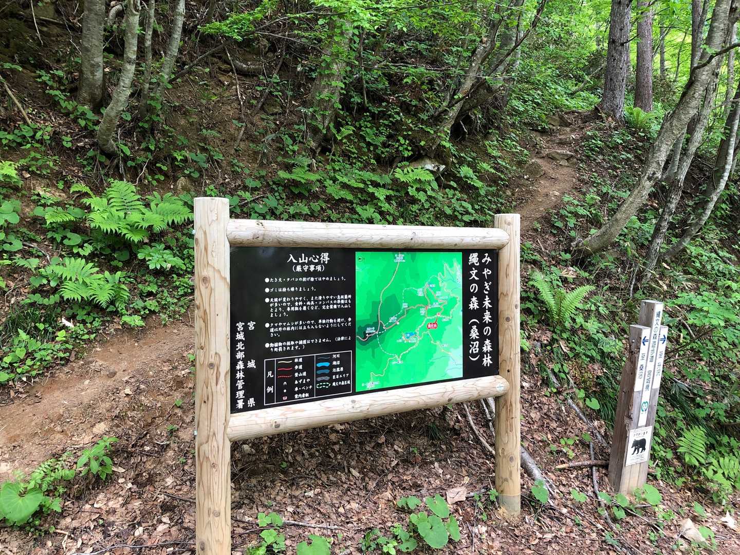 ここから山に入ります