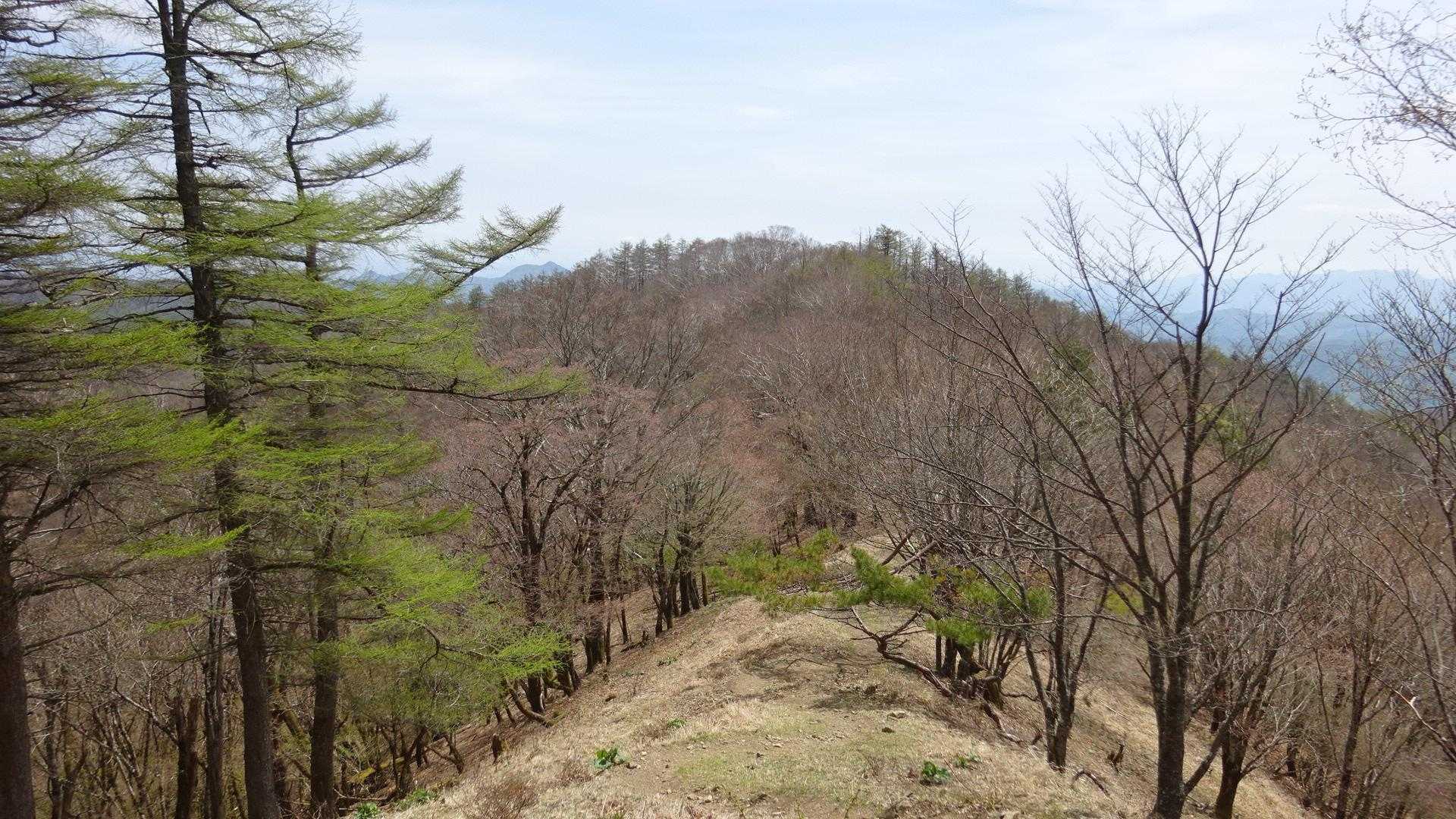 鷹ノ巣山-水根山-城山-十二天山-絹笠山-六ツ石山・石尾根 縦走コースの写真