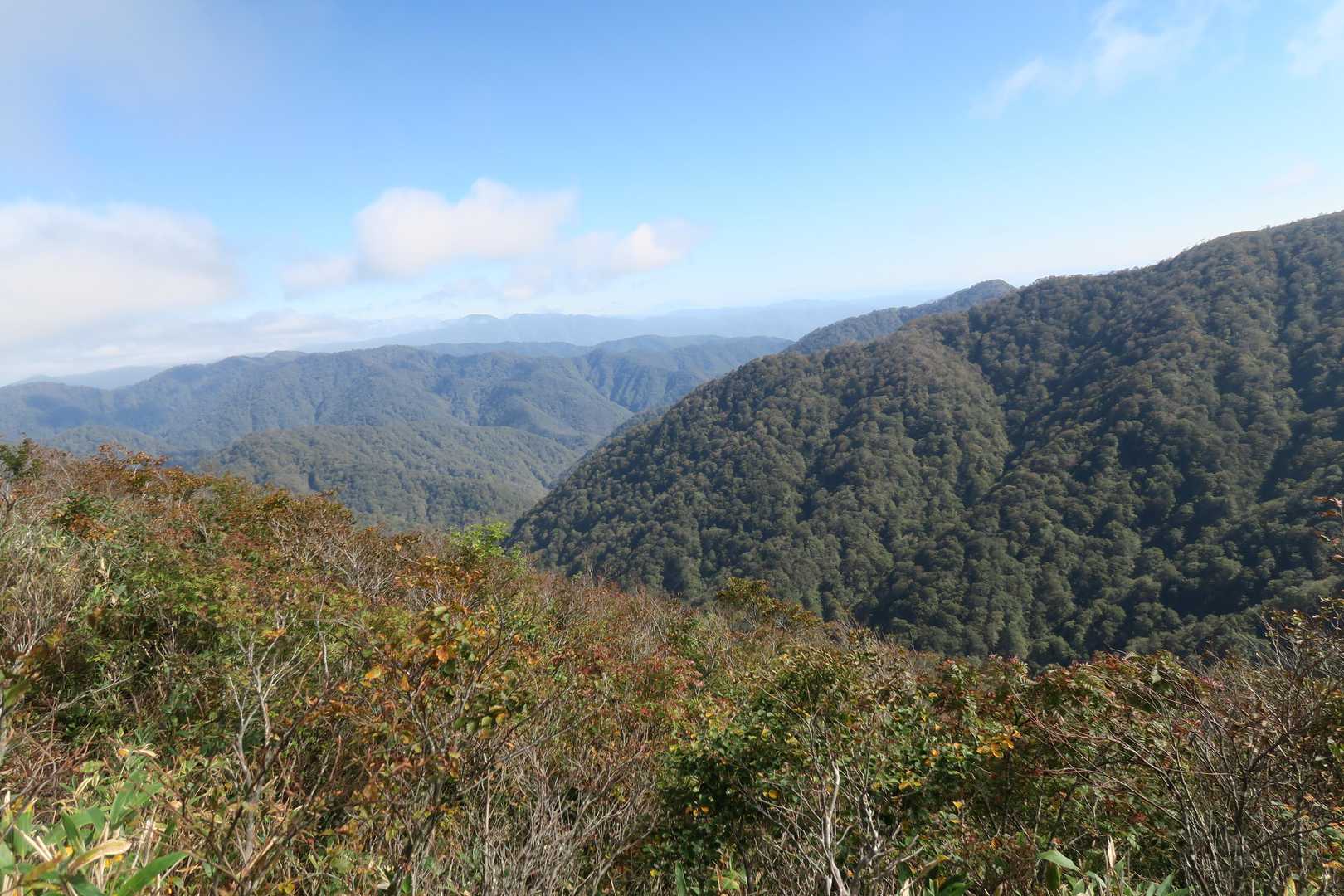 夜叉ヶ池登山口-岩谷のトチノキ-夜叉ヶ池-三周ヶ岳 往復コースの写真