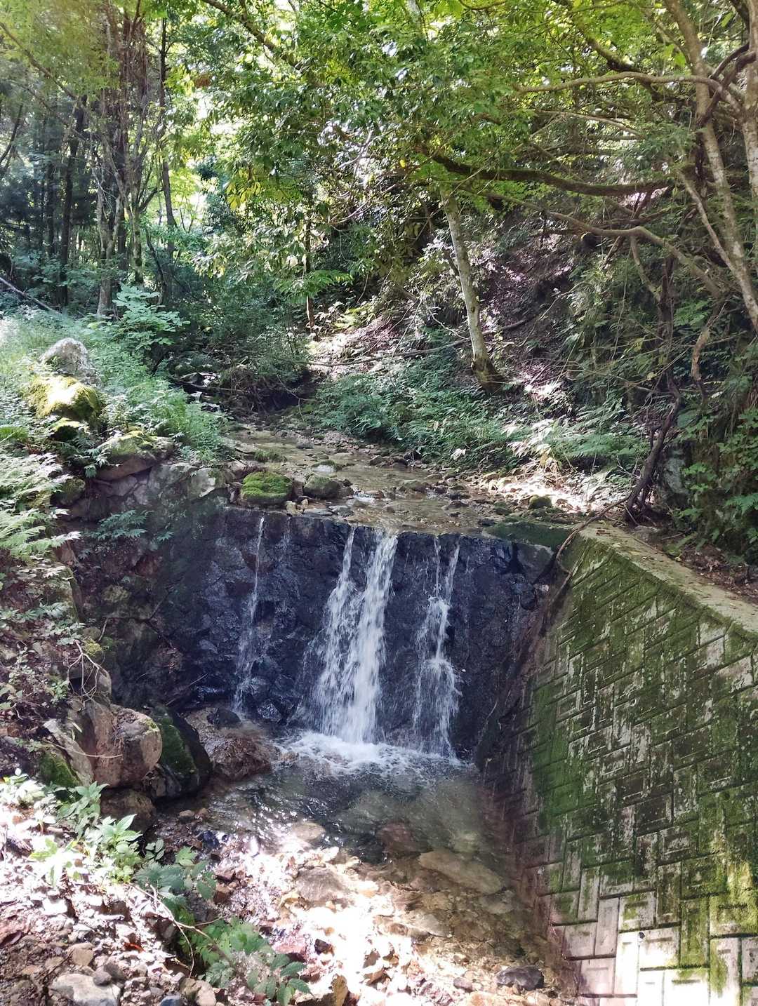 林道の途中にあった綺麗な沢💧

無事に下山できたらここで歓喜の水浴びをすることにしました㊗️