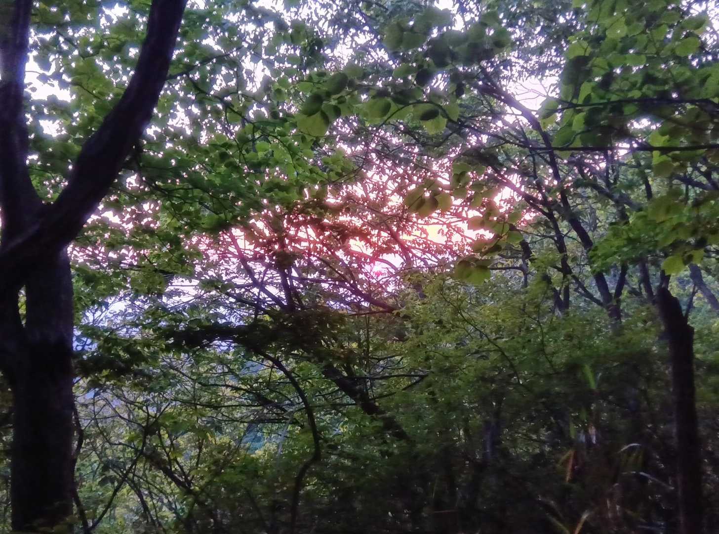 無理だな😭