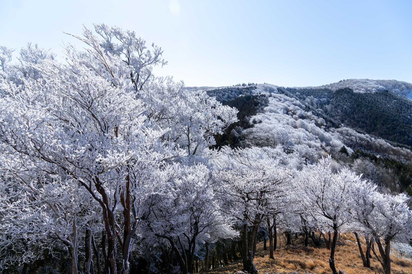 キワラ滝登山口-ハッピのタワ登山口-赤ゾレ山登山口-木梶山 往復コースの写真
