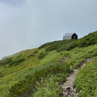 見えてきた！