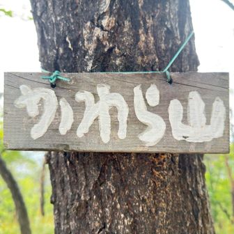 かわら山登頂202m