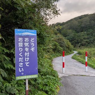 お気づかいありがとうございます😌