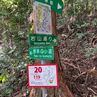 ここで野草の小道を進めば良かった😅