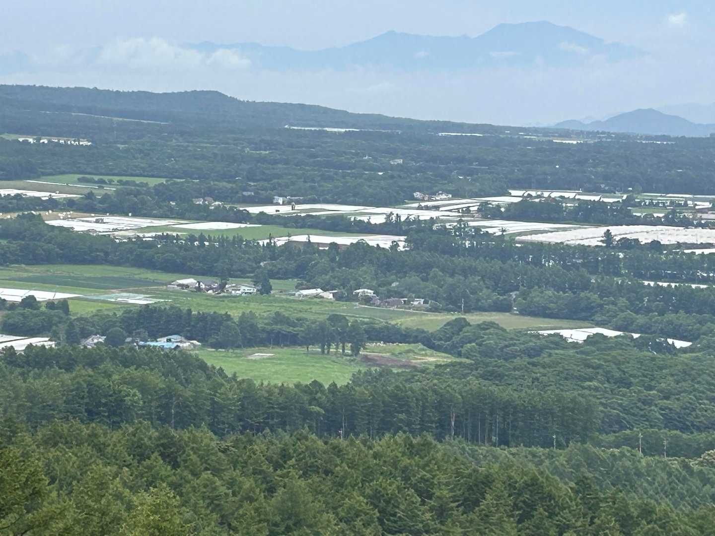 日本じゃないみたい✨