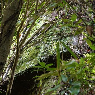 大阪城にも使われた生駒石の石切場の跡地です。ちなみに地名の石切、はこの石切場ではなく石切神社に由来します