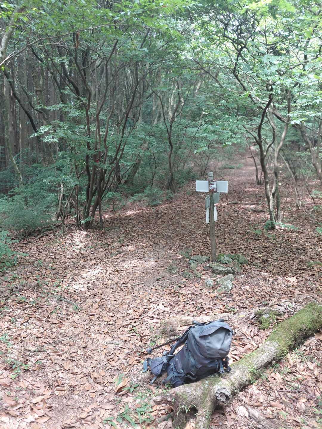 三郡～砥石縦走路上の「つき谷Ｂコース」の下降地点。ここを左（＝西）方向に下ります。