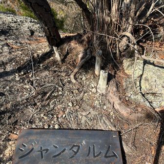 ジャンダルムには巻道もあった