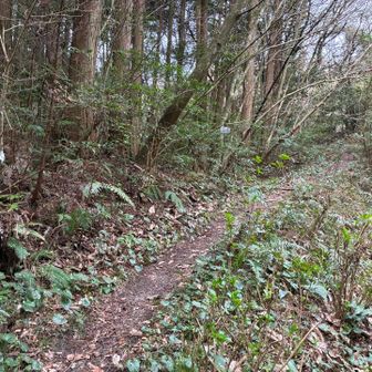 ここから入山です⛰️