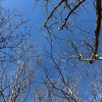 ここが三登谷山かな？と思ったらこの先に！