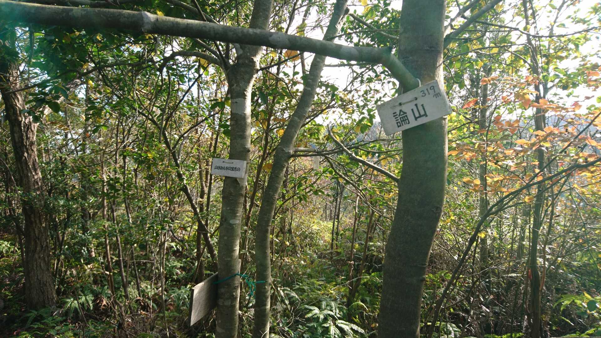論山の写真