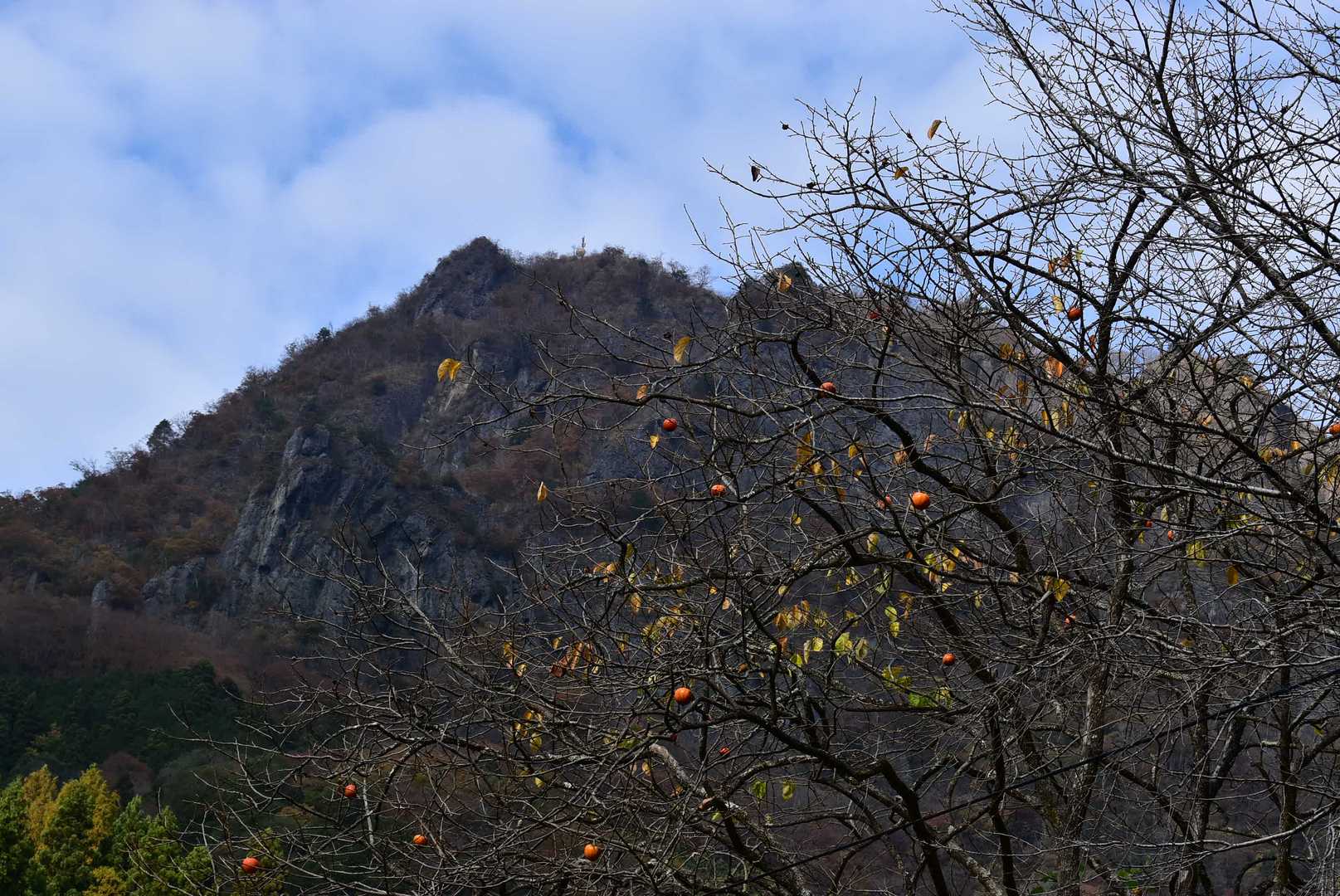 登山口から奥久慈男体山遠景
