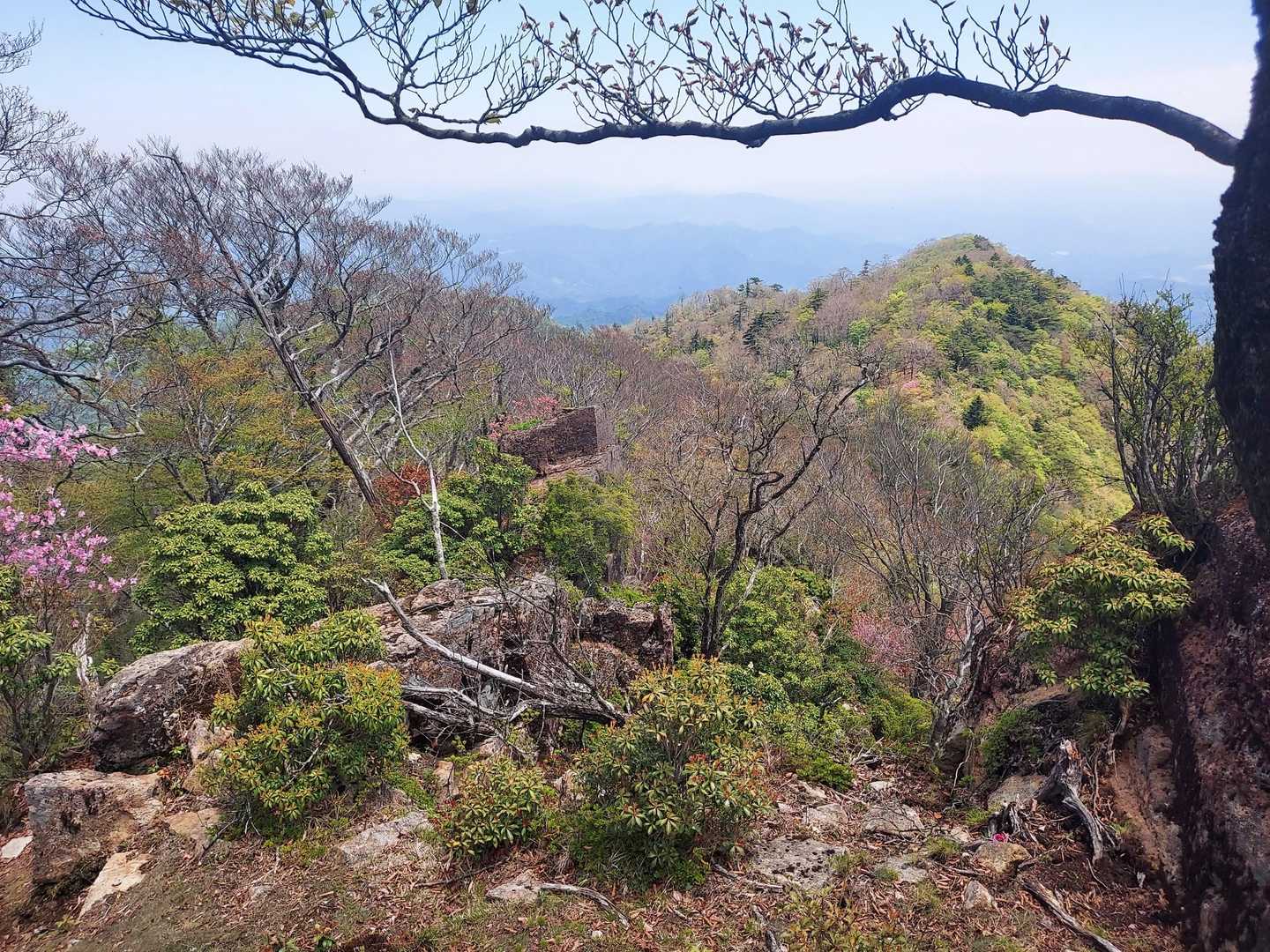 傾山 往復コースの写真