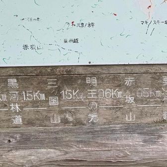 ここまで約２キロ。三国山山頂の方が近い🤣