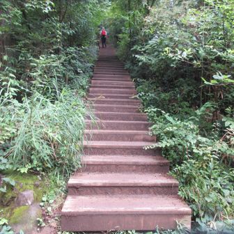 今日は稲荷山コース最後の階段を登る　